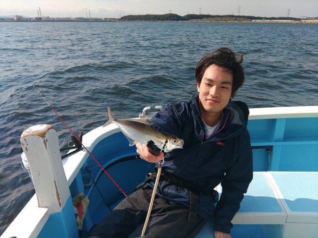 アジ(マアジ)