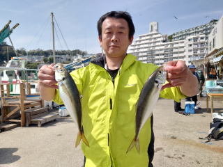 アジ(マアジ)
