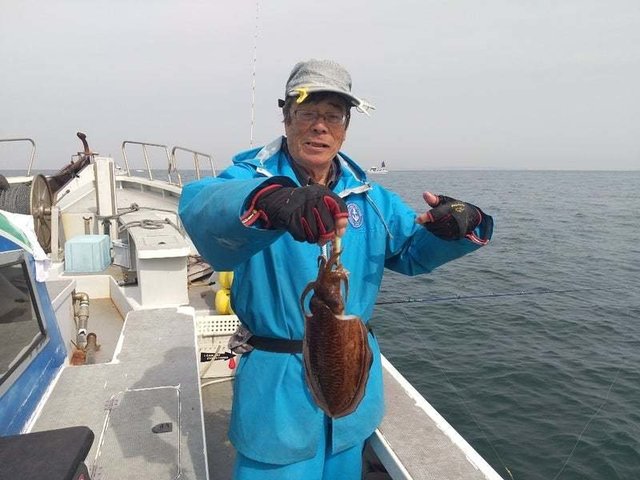コウイカ