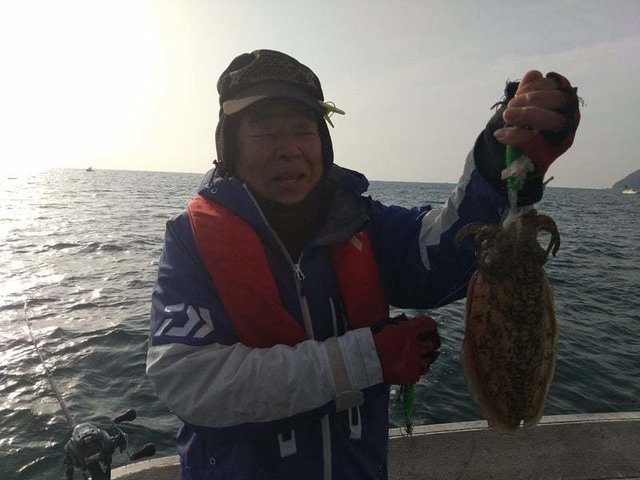 コウイカ
