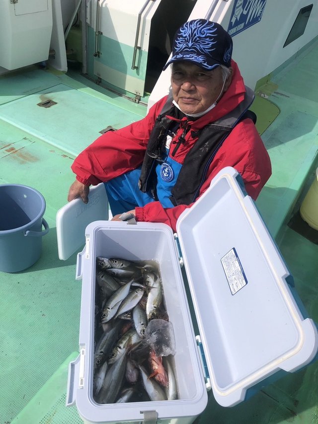 アジ(マアジ)・カサゴ