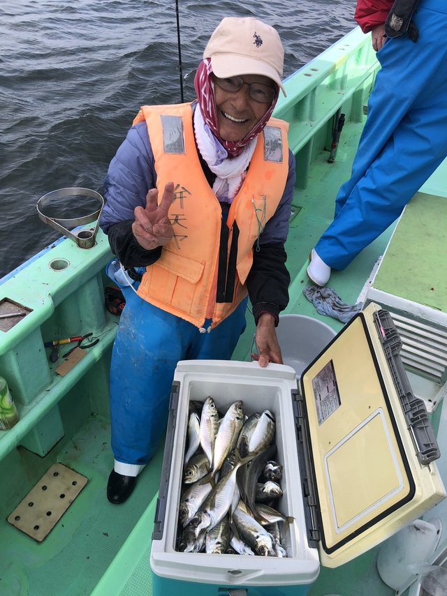アジ(マアジ)