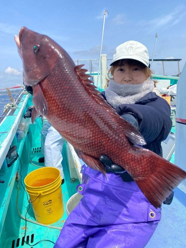 ヒゲダイ