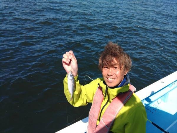 アジ(マアジ)