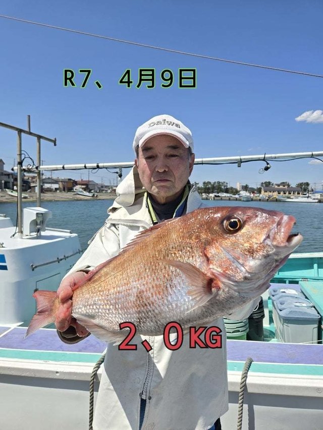 マダイ