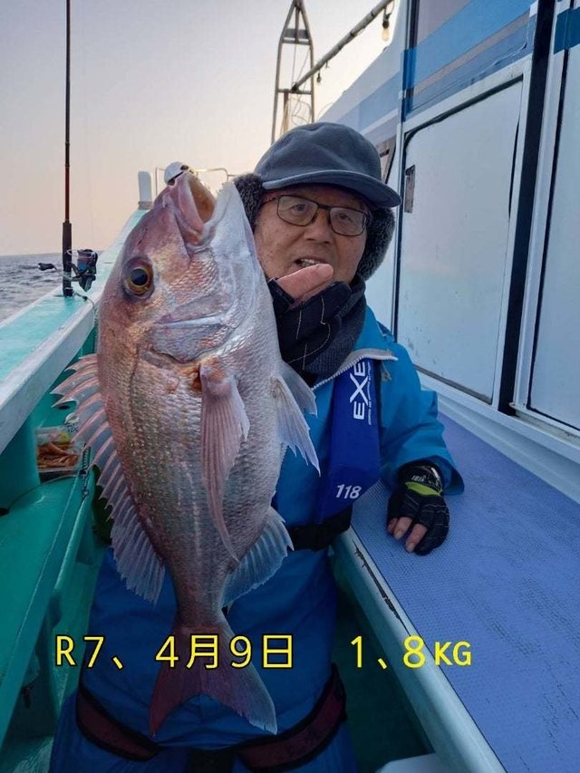 マダイ