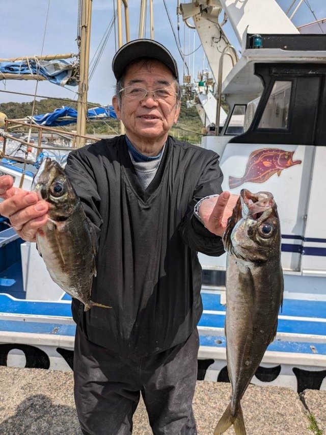 アジ(マアジ)