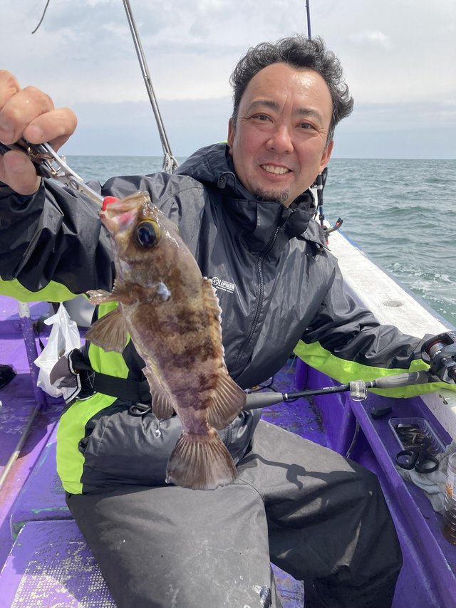 メバル