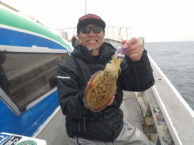 コウイカ