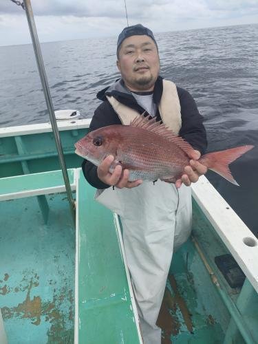 マダイ