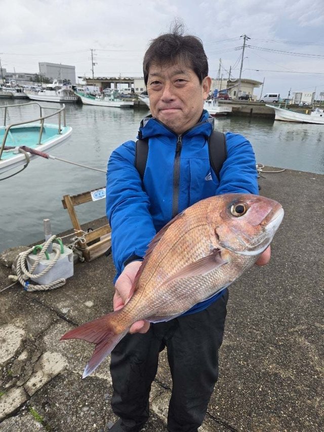 マダイ