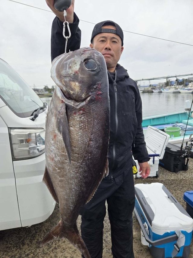 メダイ