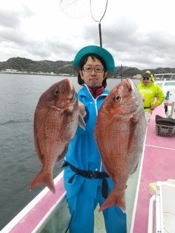 マダイ