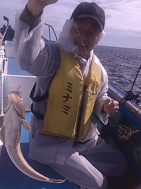 マゴチ
