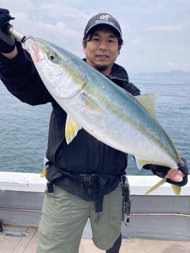 ブリ
