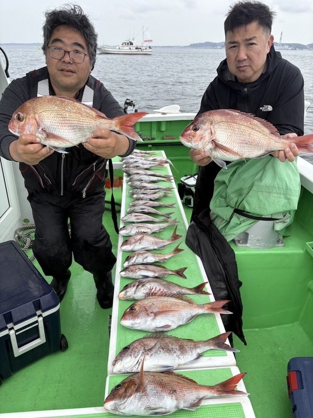 マダイ