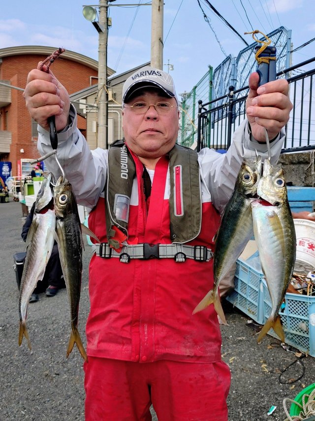 アジ(マアジ)