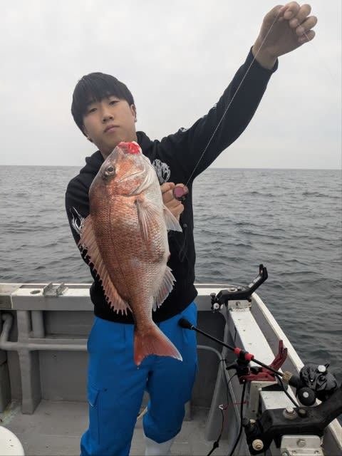 マダイ