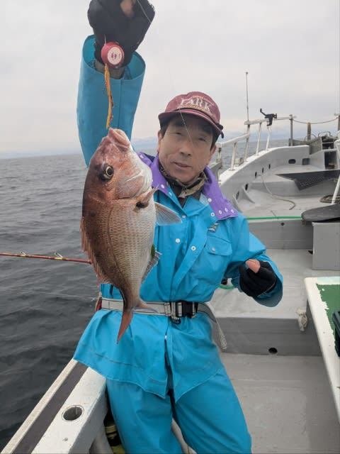 マダイ