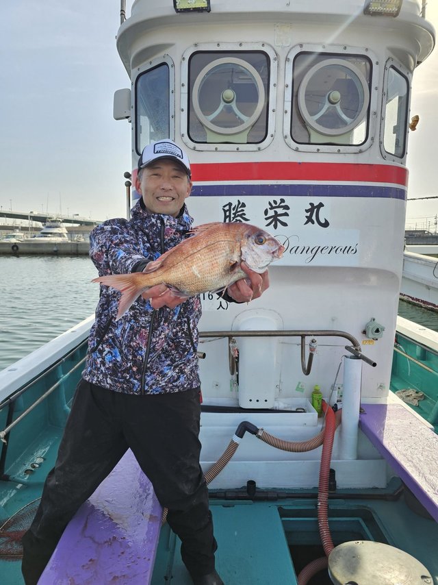 マダイ