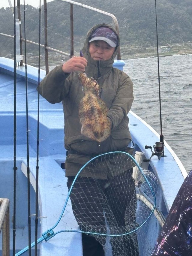 コウイカ