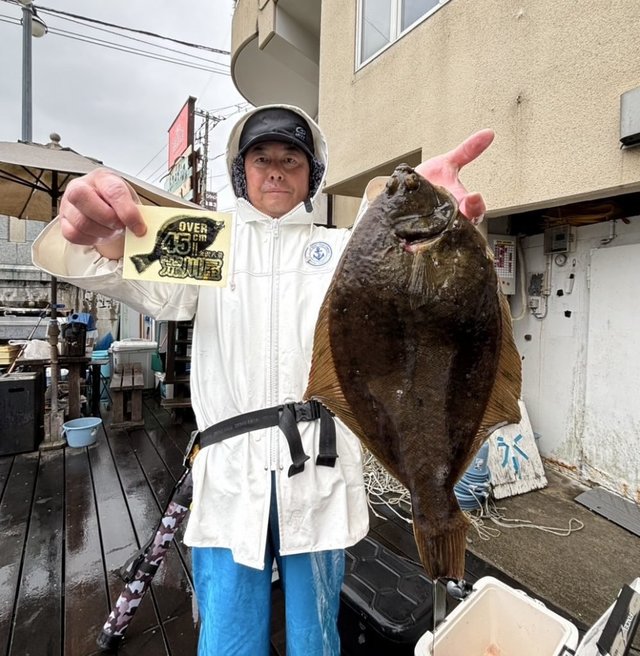 マコガレイ