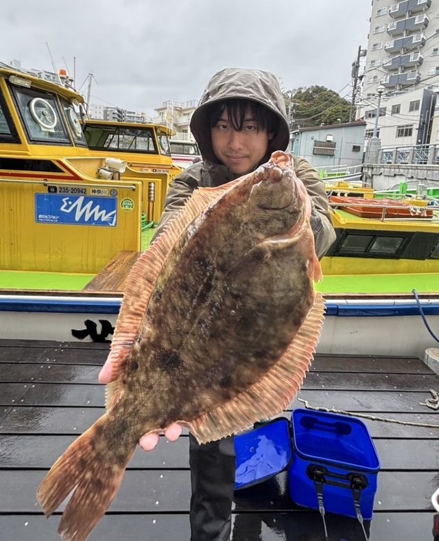 マコガレイ