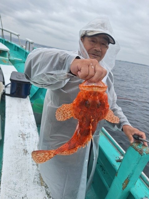 オニカサゴ