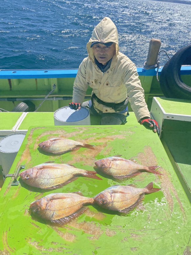マダイ
