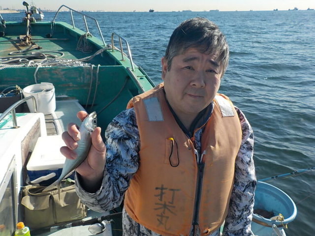 アジ(マアジ)