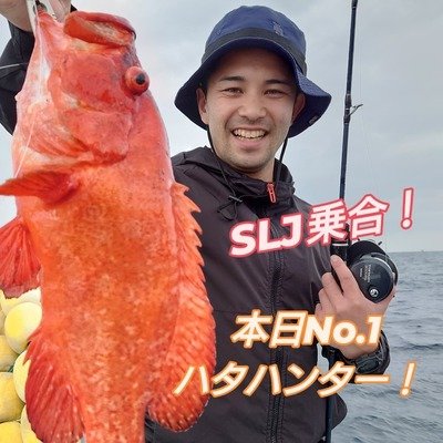 バラハタ