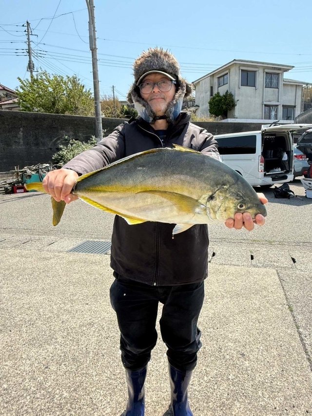 シマアジ