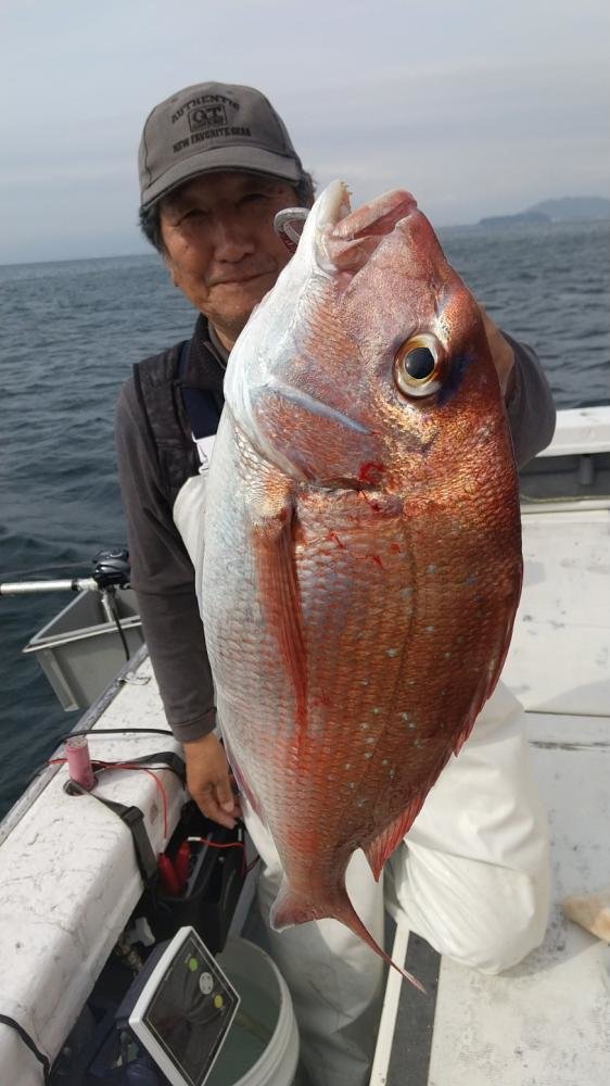 マダイ