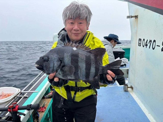 イシダイ