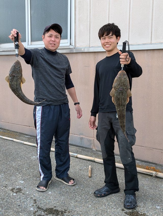マゴチ