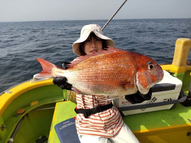 マダイ
