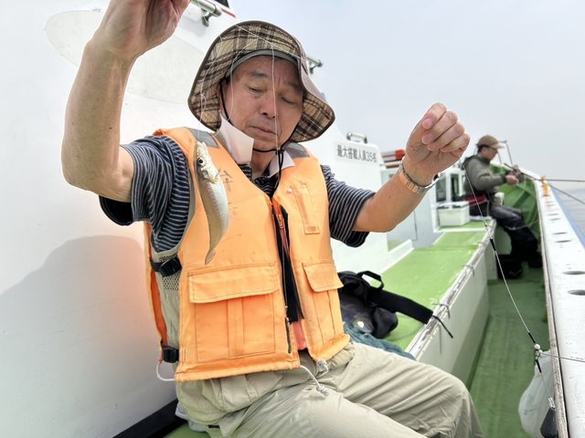 シロギス