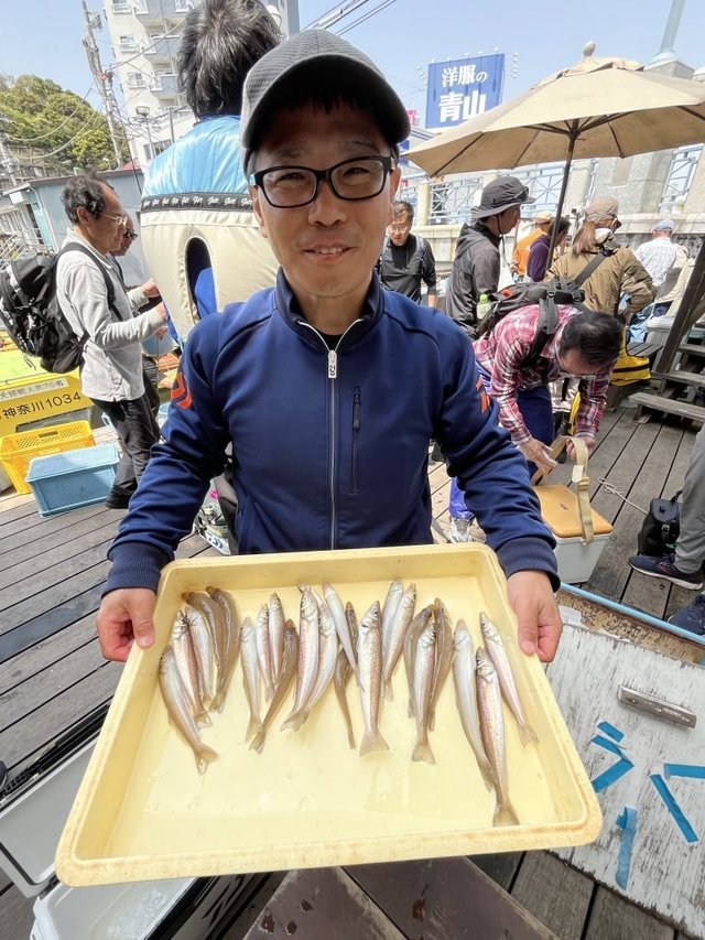 シロギス