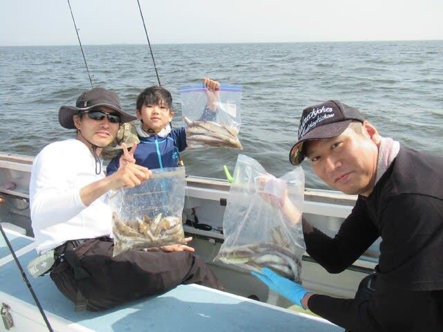 シロギス