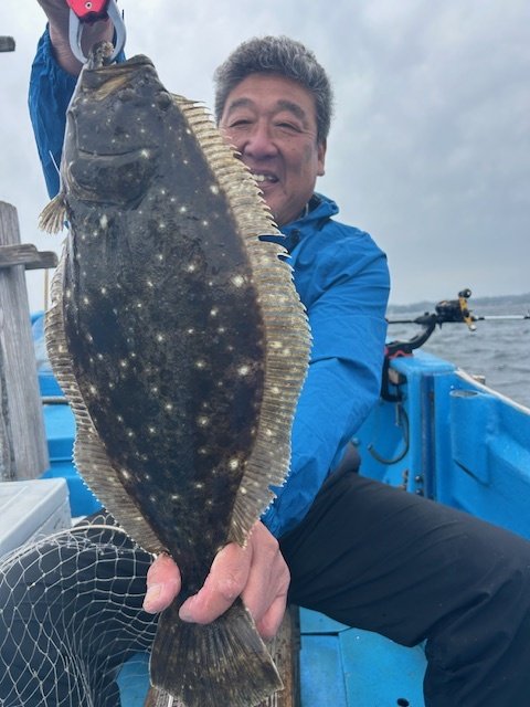 ヒラメ