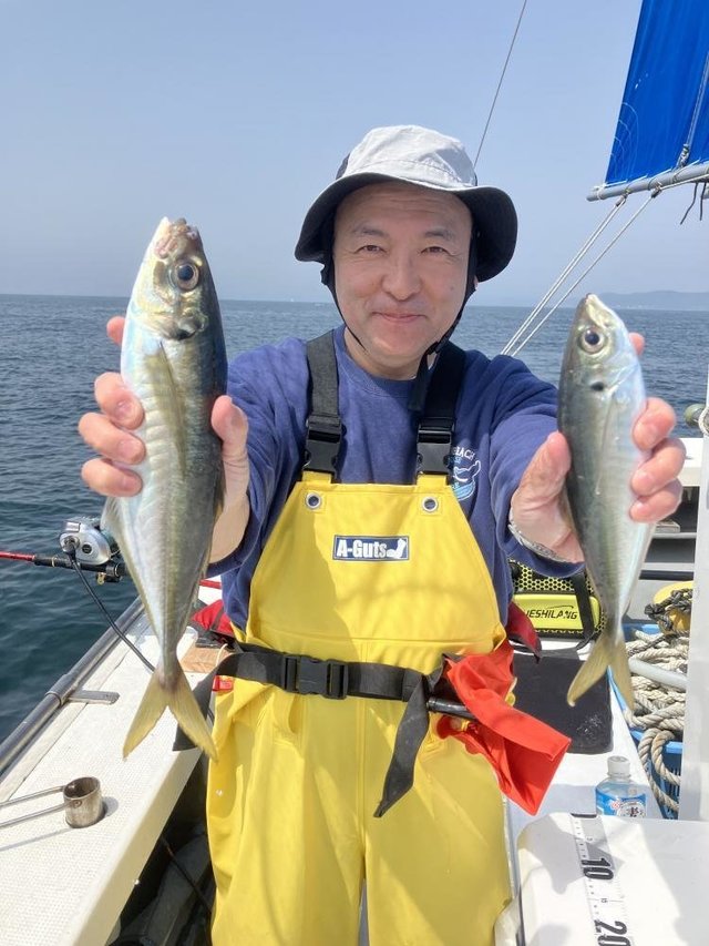 アジ(マアジ)