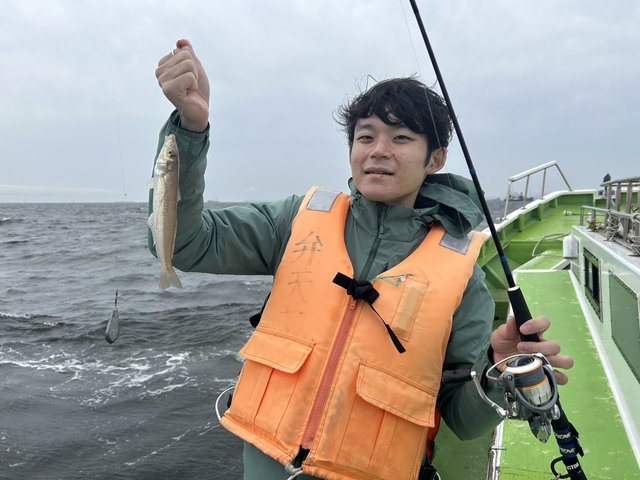 シロギス