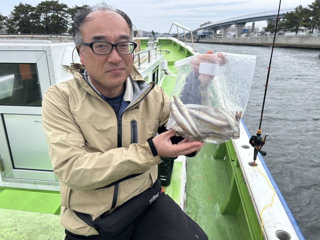 シロギス