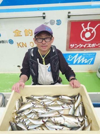 アジ(マアジ)
