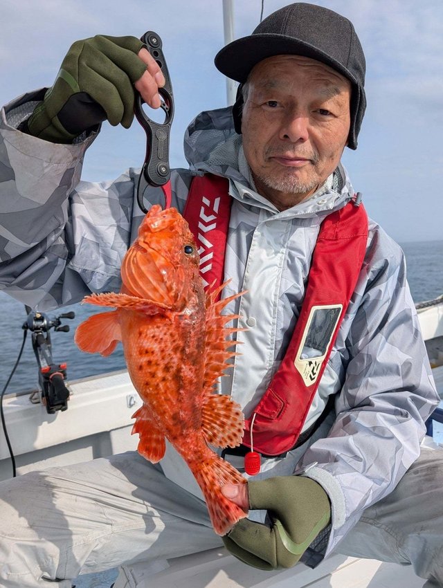 オニカサゴ