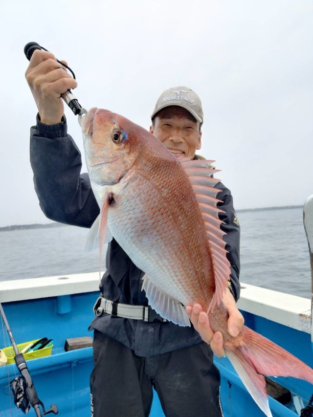 マダイ