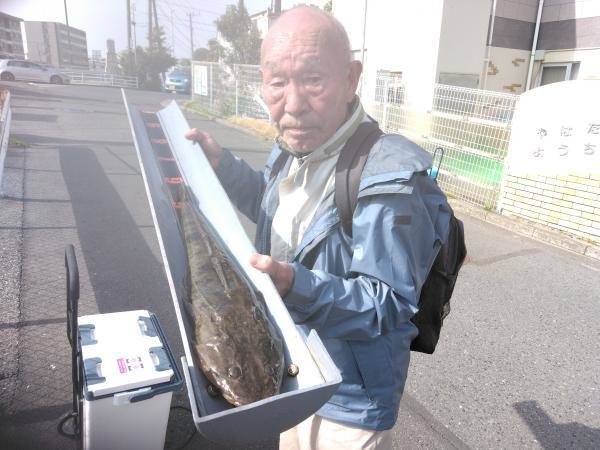 マゴチ