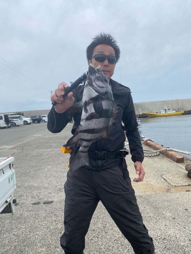 イシダイ