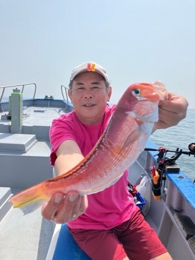 アマダイ(アカアマダイ)