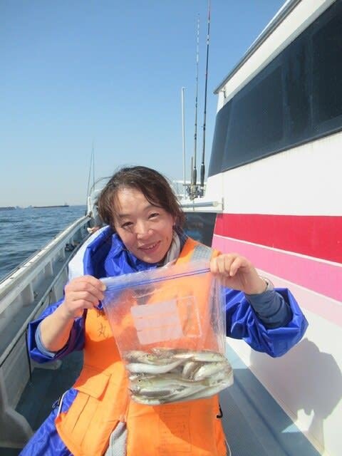 シロギス